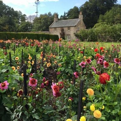 江南网页入口官方正版