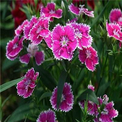 m6米乐手机登陆入口