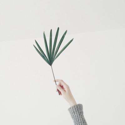 上海麻将手机app下载